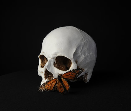 portrait of a human skull with a a monarch butterfly, photographed on black studio background.