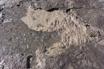 Flow of water with lumps snow melts on the road in the city .
