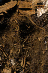 Fisherman's fishing gear The past is made of wood, with mesh surrounded by countless days lost.