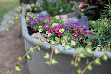 Bepflanzte Zinkwanne