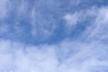 Fototapeta premium white feather clouds on the blue sky background .
