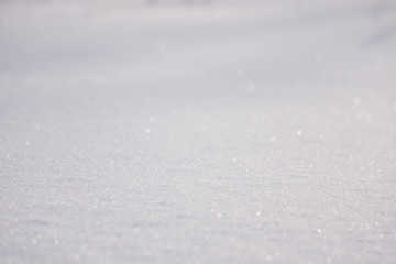 Obraz premium Fresh snow cover in dunes at closeup, a winter landscape .