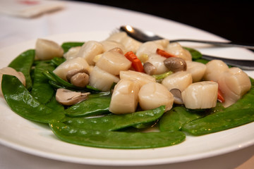 Stir-fried scallops with snow pea and mushroom, a popular dish in a chinese restaurant