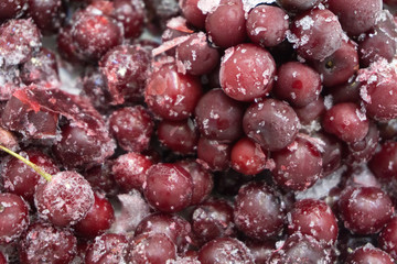 Group of frozen cherries on a white background.