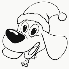 A dog in a hat and with a bell