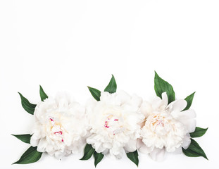 Three white peony flowers and leaves on white background. Top view with copy space. Flat lay.