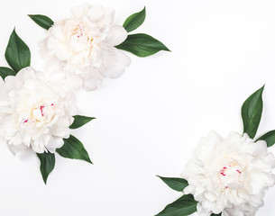 Frame of three white peony flowers and leaves on white background. Top view with copy space. Flat lay.