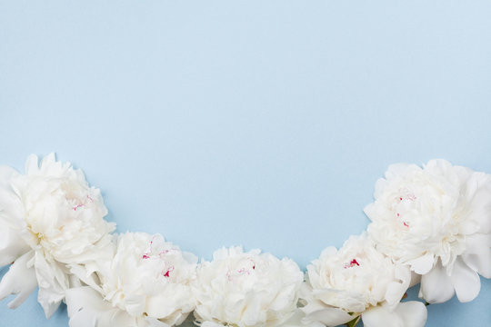 Fototapeta Wedding frame made of beautiful white peony flowers on blue pastel table. Top view and flat lay style.