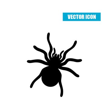 Spider silhouette icon isolated on white background