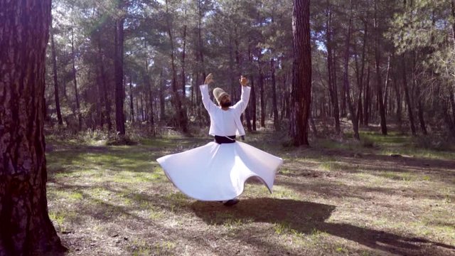 whirling dervish
