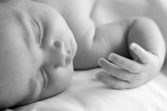 Newborn baby sleeping -  Black and White