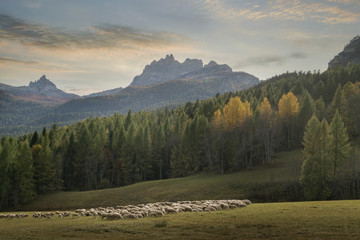 Sunset over the Dolomites, Cortina d'Ampezzo, Veneto, Italy