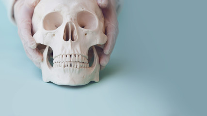 Human skull on clear blue background. Hands doctor or Intern in latex gloves put the skull on the surface