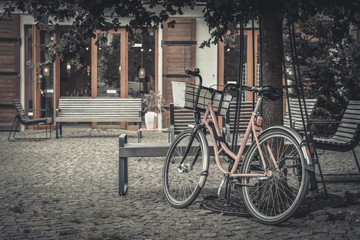 Vintage pink bicycle under the tree
