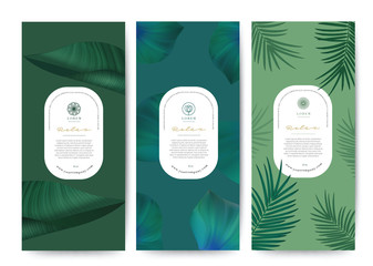 Branding Packaging tropical plant leaf summer pattern background, for spa resort luxury hotel, logo banner voucher, fabric pattern, organic texture. vector illustration.