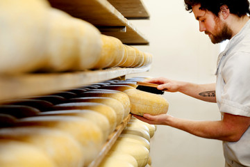 Cheese maker brushing mould off the hard cheeses by hand
