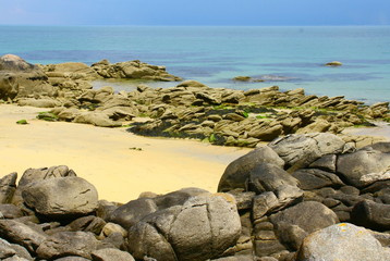 Fototapeta na wymiar île d'yeu,paysage sauvage,océan atlantique