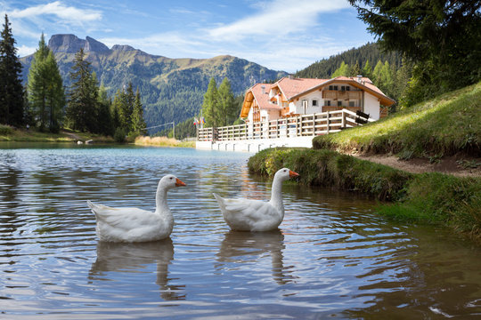lake at the Dolomites mountains
