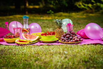 picnic blanket with lemonade, grape, strawberry and watermelon fruits in a summer forest