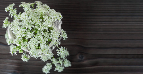 white flowers in planters on dark background