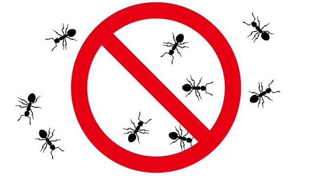 Ants in prohibition sign. Black silhouettes of pests swarm on white background, 3D animation.