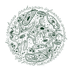 Microorganism Hand drawn Image