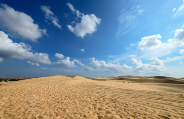 Fototapeta na wymiar Landscape of White Sand Dunes desert and oasis