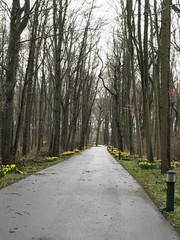 Road to nowhere 2 