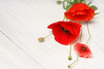 Crédence de cuisine en verre imprimé Coquelicots Fleurs de pavot rouge sur bois rustique blanc.