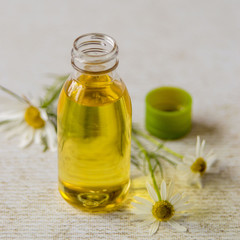  Natural cosmetic. Essential oil in a bottle with fresh chamomile flowers on a light background.
