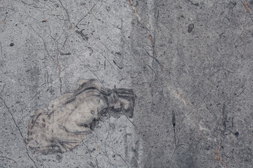 Stone Background with scratches and cracks. Natural texture.