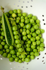 Fresh  organic green peas