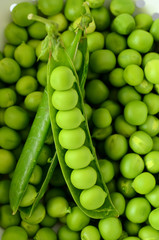 Fresh  organic green peas