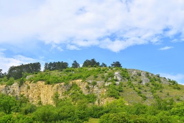 The Pavlov Hills, in Czech also Palava.  White limestone rocks,  flowers in rock. South Moravia, the Czech Republic, Europe