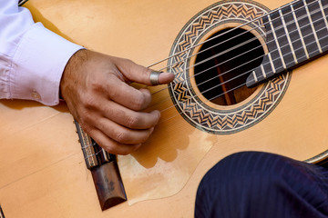 Live musical performance of Brazilian popular music with seven string acoustic guitar