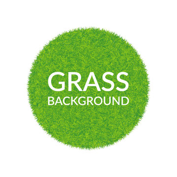Green grass round background.