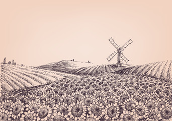 Sunflower hills, artistic landscape, windmill in the background