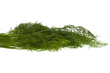 fennel isolated on white background