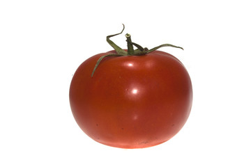 tomato isolated on white background