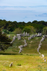 Carnac Les Menhirs