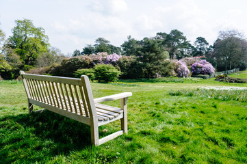 A bench looking over a very large garden.