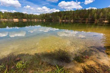 nice lake in pine forest