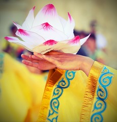 flower lotus supported by the hands of the young oriental dancer © ChiccoDodiFC