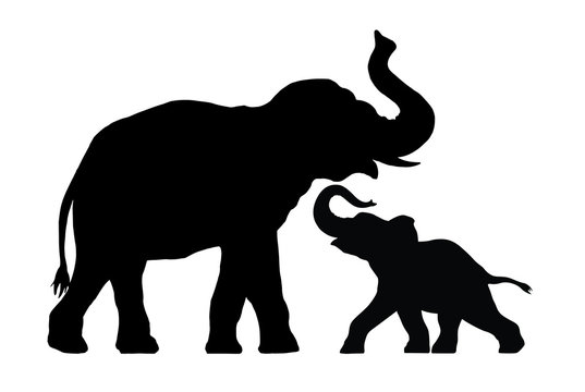 silhouette of elephant with baby elephant
