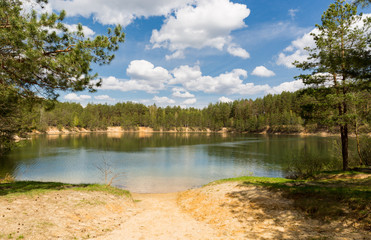 lake in pine forest