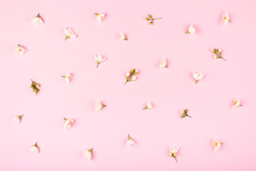 White flowers pattern on pink background. Pattern made of jasmine flowers. Pastel colors, top view.