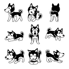 Set of vector cartoon character siberian husky dog poses for design. © jaaakworks