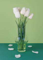 White tulips in a vase on a green background.