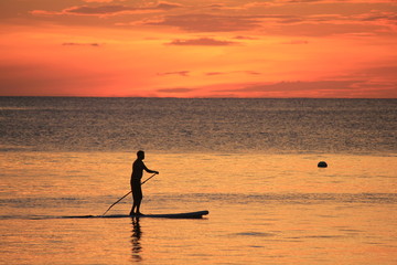 stand up paddle on the beach sunset