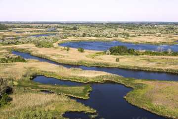 Fototapeta na wymiar Vorskla river delta . Ukraine